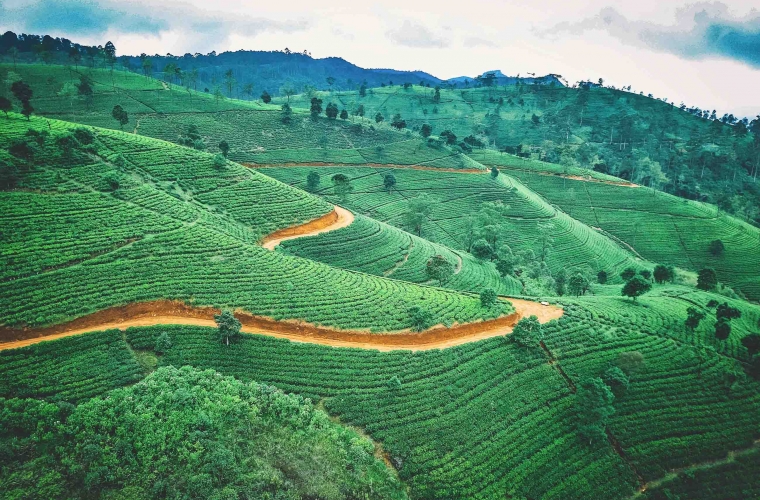 Sri Lanka ringreis ja rannapuhkus