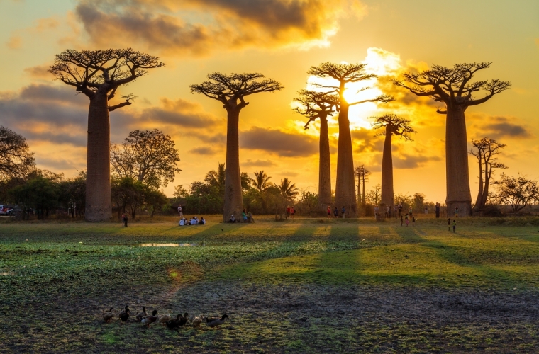 Madagaskar - ainulaadne loodusreis, puhkus Mauritiusel